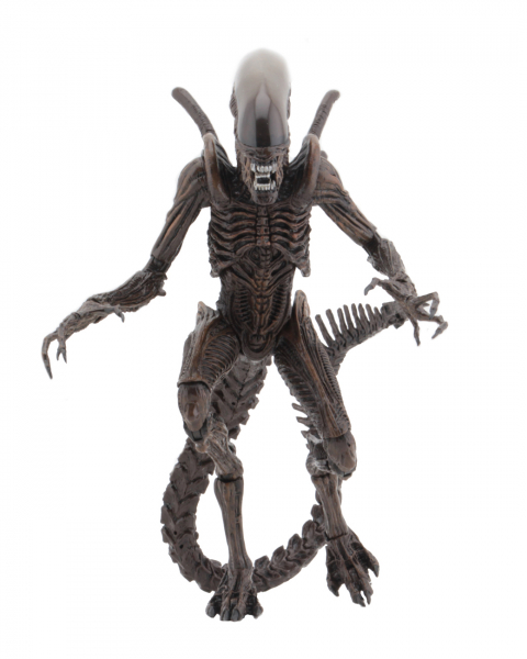 Alien Series 14