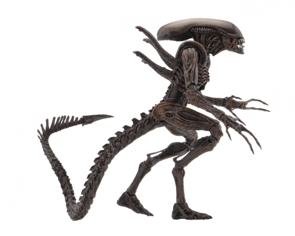 Alien Series 14