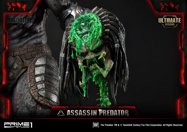 Assassin Predator