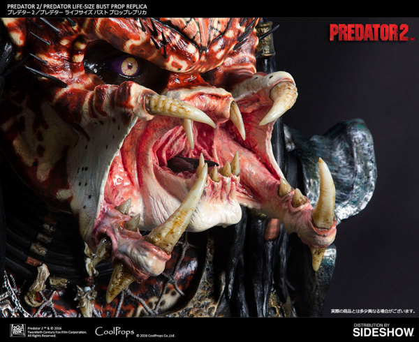 Predator Bust 1/1