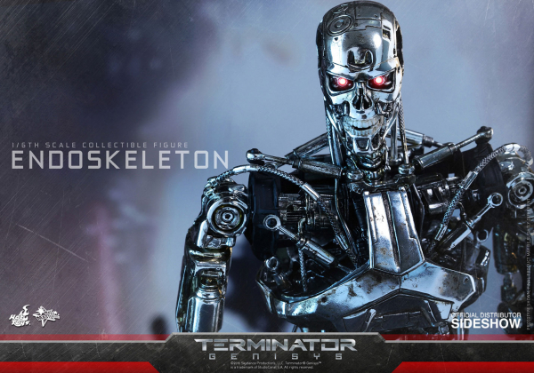 Endoskeleton 1/6