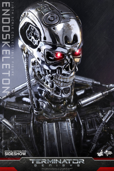 Endoskeleton 1/6