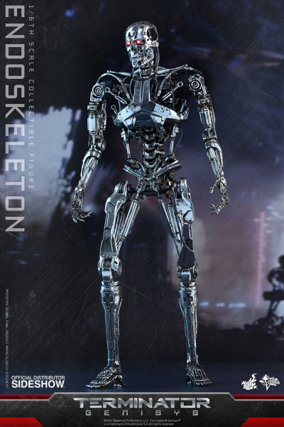 Endoskeleton 1/6