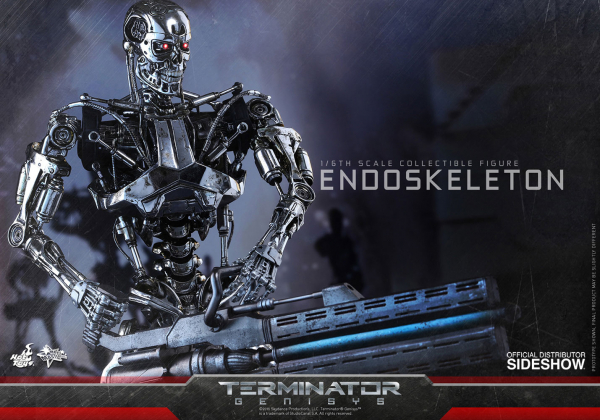 Endoskeleton 1/6