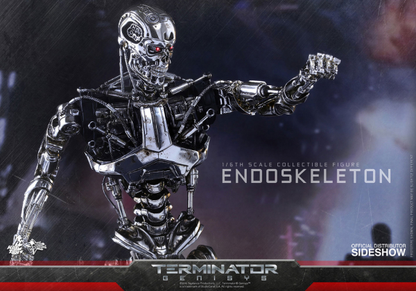 Endoskeleton 1/6