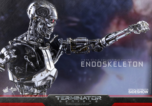 Endoskeleton 1/6