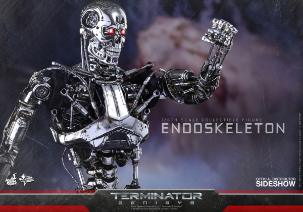 Endoskeleton 1/6