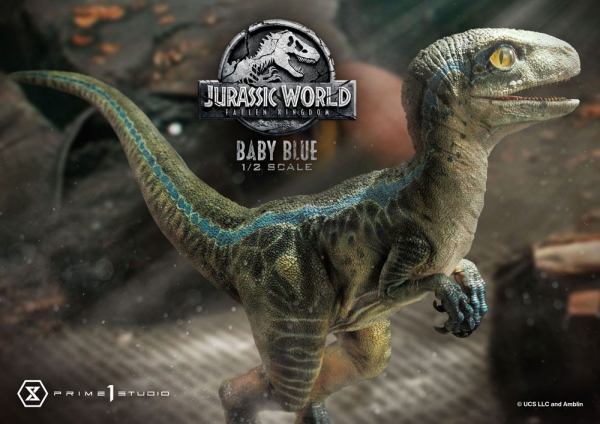 Baby Blue Statue 1:2 Prime Collectibles, Jurassic World: Das gefallene Königreich, 34 cm