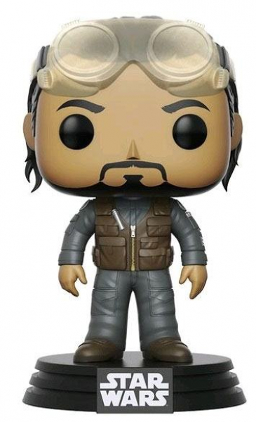 Bodhi Rook POP!