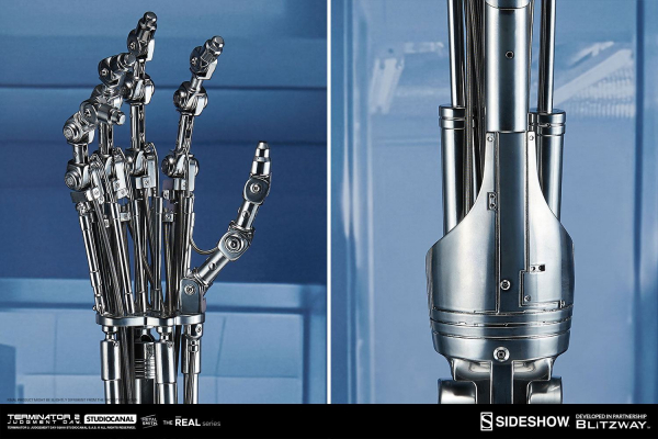 Endoskeleton Arm & Brain Chip