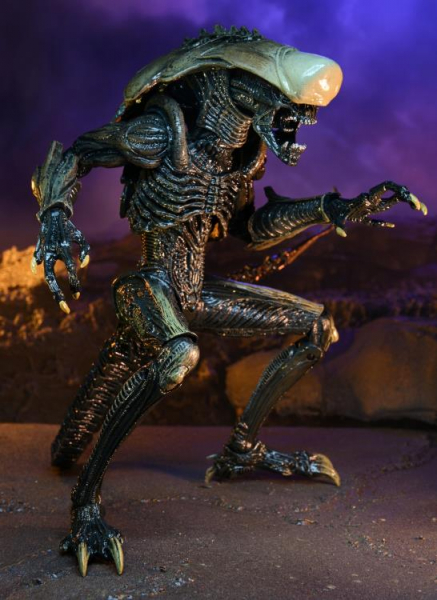 Chrysalis Alien (Movie Color) Action Figure, Alien vs. Predator (Arcade 1994), 23 cm