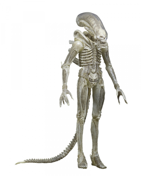 Alien 1/4 Concept Figure