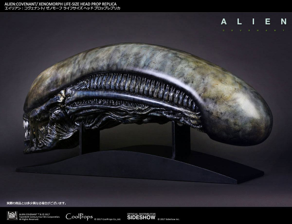 Alien Covenant Kopf