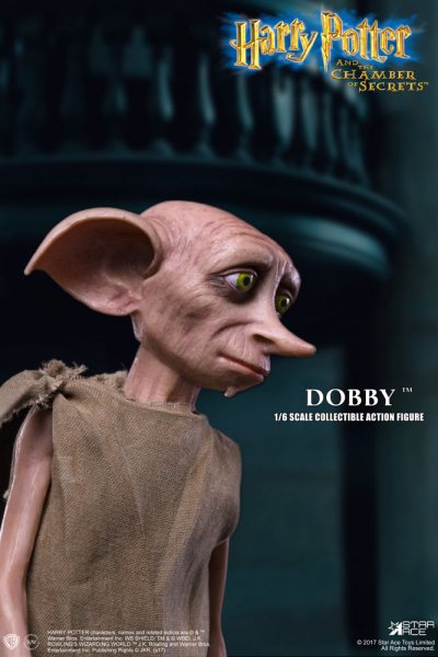 Dobby 1/6