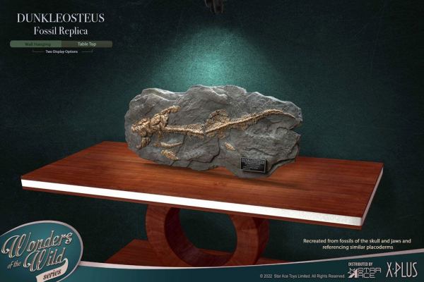 Dunkleosteus Fossilien-Replik Wonders of the Wild, 42 cm