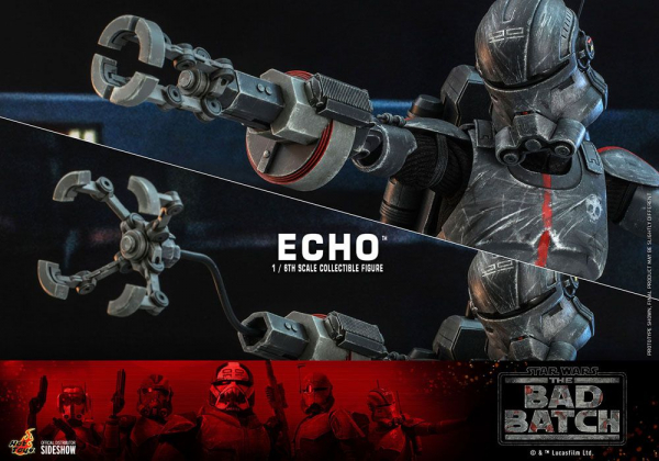 Echo