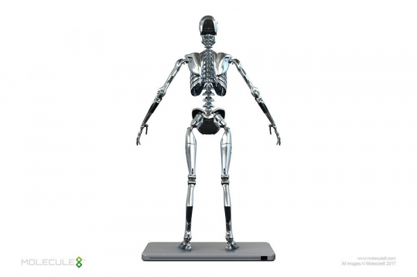 Endoskeleton Mark I