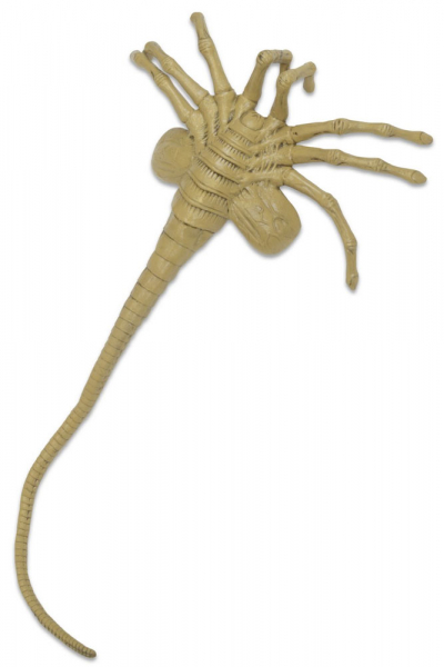 Facehugger life-size