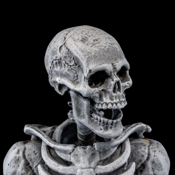 Graveyard Skeletons Actionfiguren-Viererpack, 17 cm