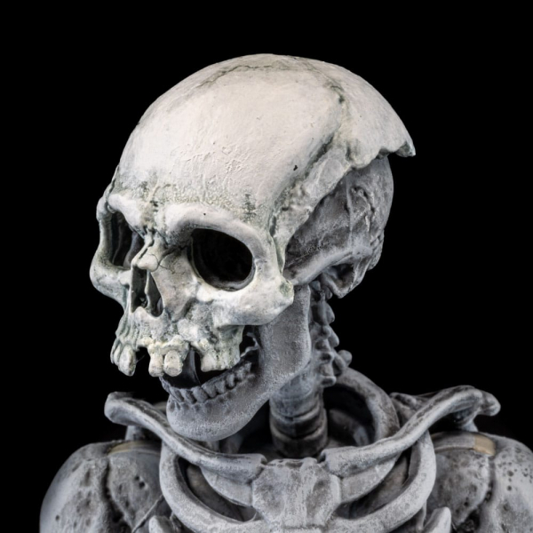 Graveyard Skeletons Actionfiguren-Viererpack, 17 cm