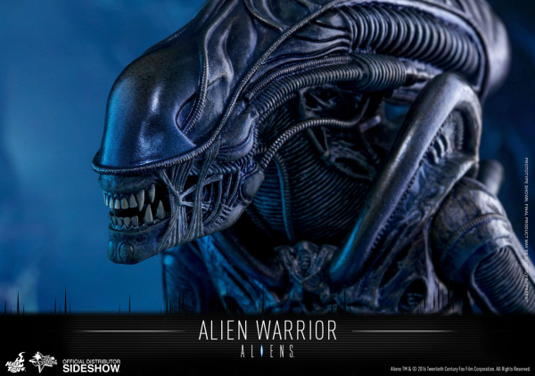 Movie Masterpiece Alien Warrior