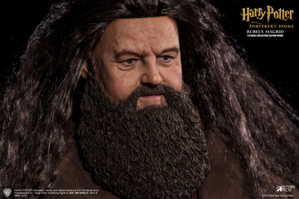 Rubeus Hagrid