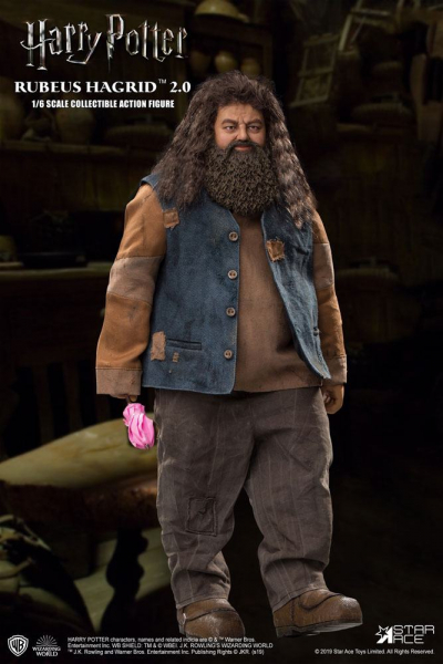 Rubeus Hagrid