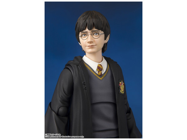 Harry Potter SHF