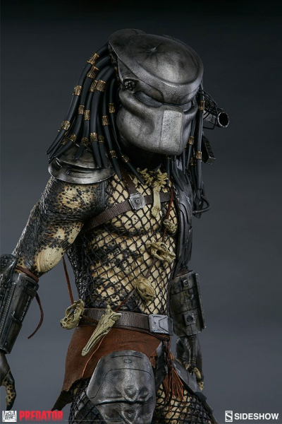 Jungle Hunter Predator