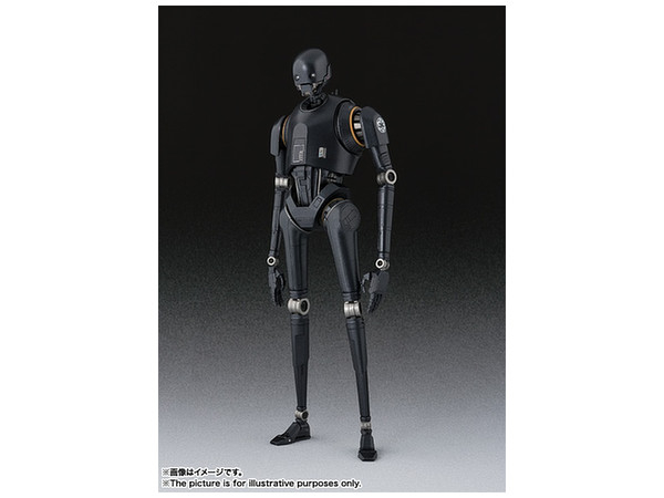 K-2SO SHF