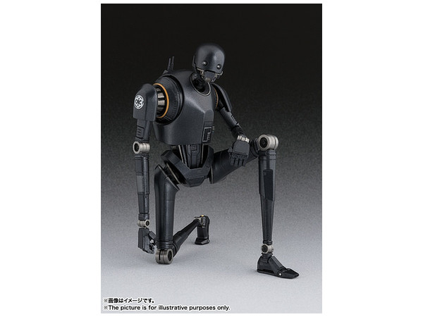 K-2SO SHF