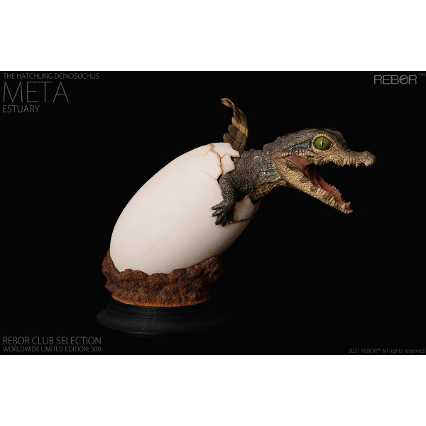 Meta the Hatchling