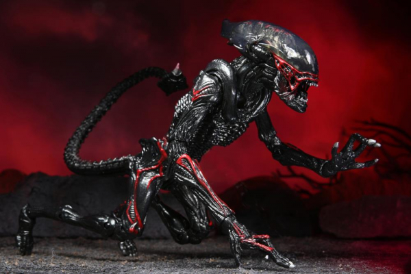 Night Cougar Alien