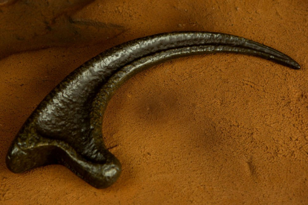 Raptor Claw