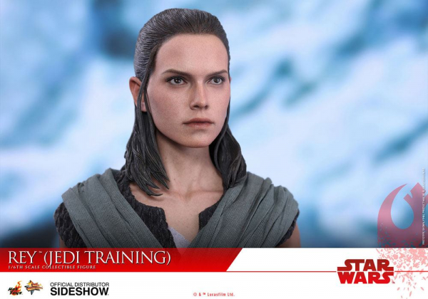 Rey Movie Masterpiece