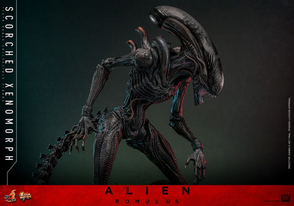 Scorched Xenomorph Actionfigur 1:6 Movie Masterpiece Series, Alien: Romulus, 44 cm