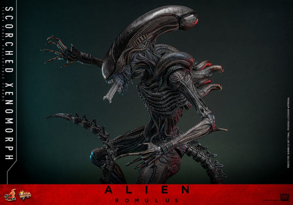 Scorched Xenomorph Actionfigur 1:6 Movie Masterpiece Series, Alien: Romulus, 44 cm