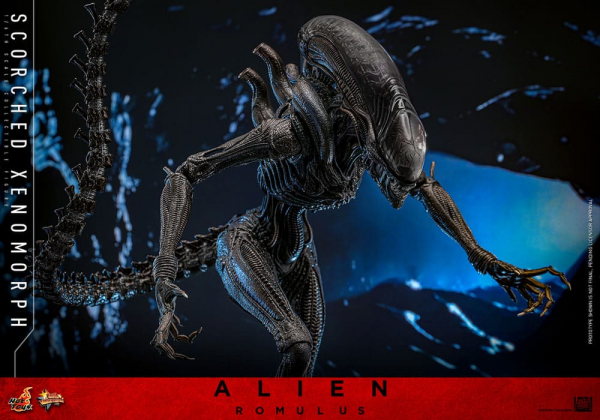 Scorched Xenomorph Actionfigur 1:6 Movie Masterpiece Series, Alien: Romulus, 44 cm