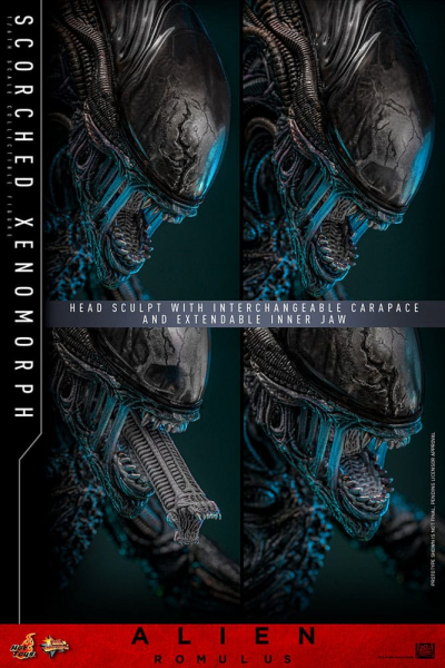 Scorched Xenomorph Actionfigur 1:6 Movie Masterpiece Series, Alien: Romulus, 44 cm