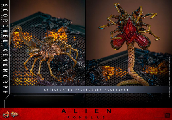 Scorched Xenomorph Actionfigur 1:6 Movie Masterpiece Series, Alien: Romulus, 44 cm