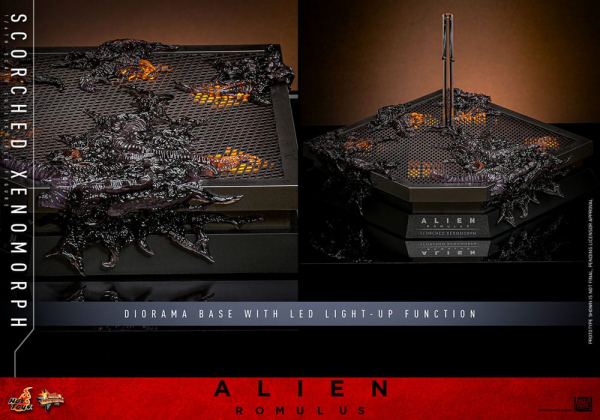 Scorched Xenomorph Actionfigur 1:6 Movie Masterpiece Series, Alien: Romulus, 44 cm