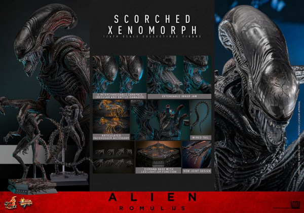 Scorched Xenomorph Actionfigur 1:6 Movie Masterpiece Series, Alien: Romulus, 44 cm