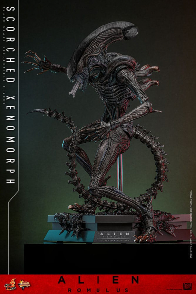 Scorched Xenomorph Actionfigur 1:6 Movie Masterpiece Series, Alien: Romulus, 44 cm