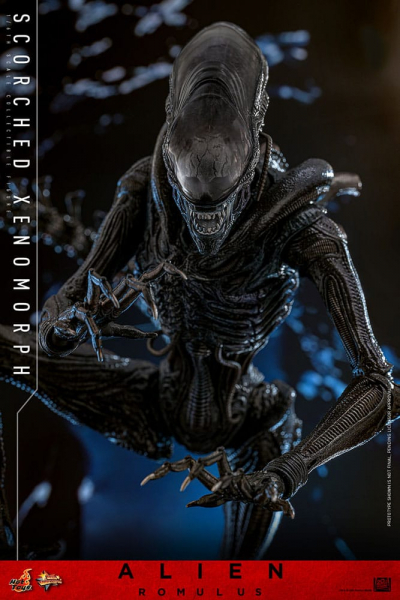 Scorched Xenomorph Actionfigur 1:6 Movie Masterpiece Series, Alien: Romulus, 44 cm