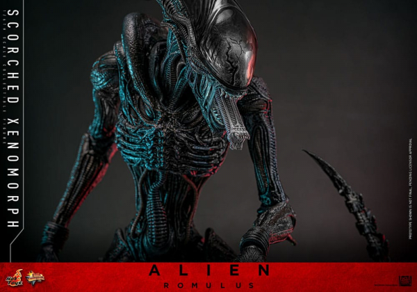 Scorched Xenomorph Actionfigur 1:6 Movie Masterpiece Series, Alien: Romulus, 44 cm