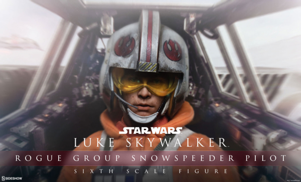 Luke Skywalker Rogue Group