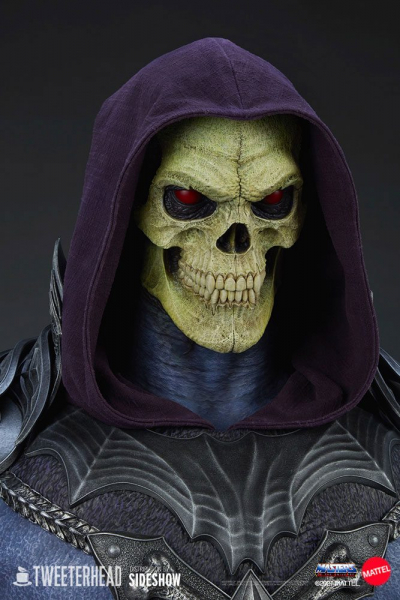 Skeletor Bust High Def Pre Supported Lychee Pro by BeardsNwildlife, Download free STL model