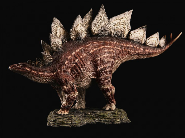 Stegosaurus