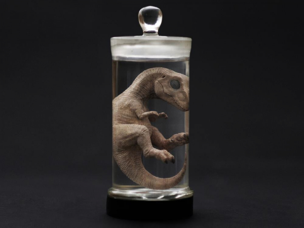 Tyrannosaurus Rex Fötus Feuchtpräparat-Replik mit LED-Beleuchtung, Rebor Oddities, 20 cm