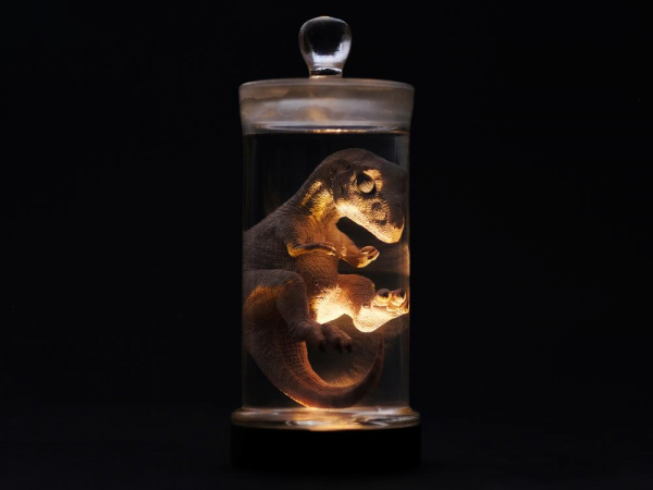 Tyrannosaurus Rex Fötus Feuchtpräparat-Replik mit LED-Beleuchtung, Rebor Oddities, 20 cm